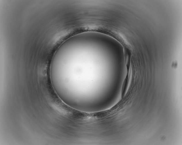 X0000091920543200709121540