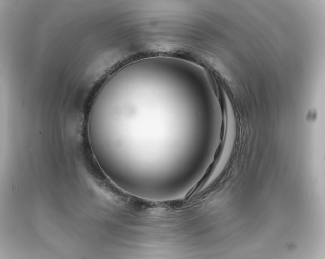 X0000091920544200709121540