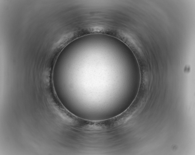 X0000091920545200709121540