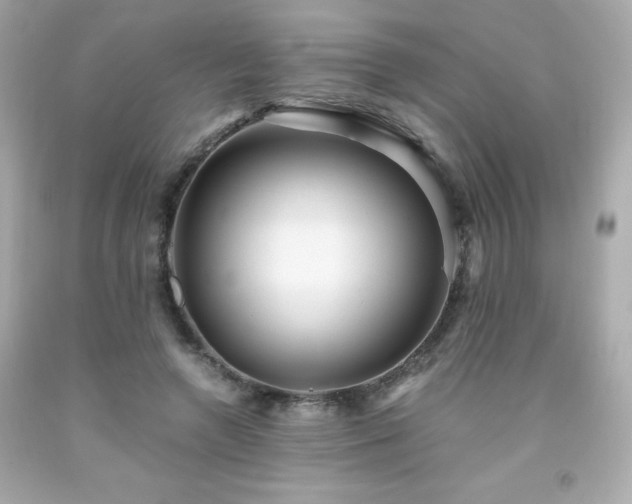 X0000091920546200709121540
