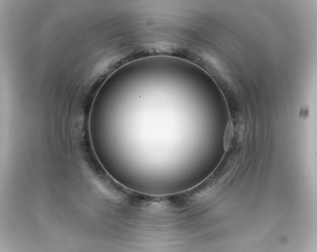 X0000091920548200709121540