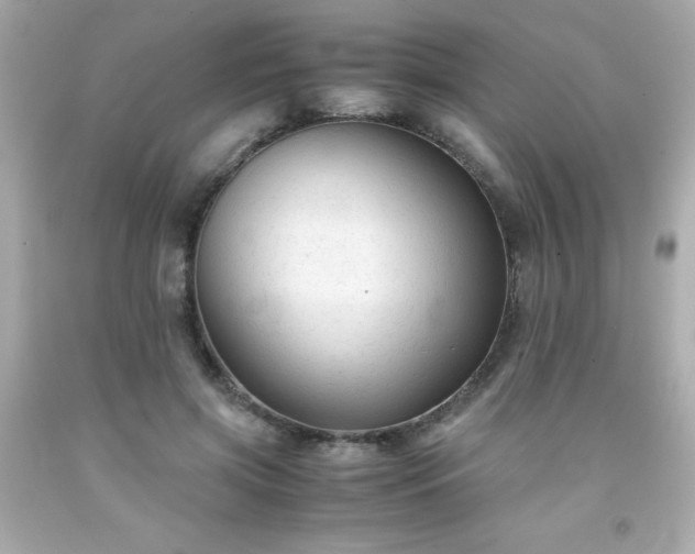 X0000091920549200709121540