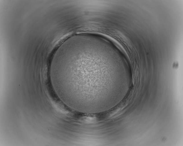 X0000091920552200709121540