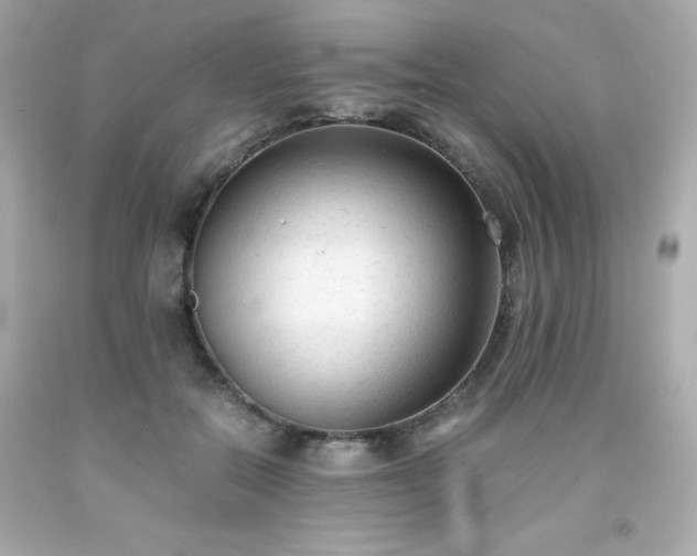 X0000091920554200709121540