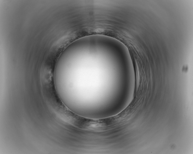 X0000091920555200709121540