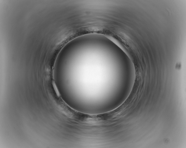 X0000091920556200709121540