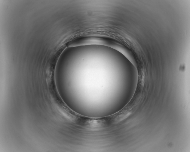 X0000091920558200709121540