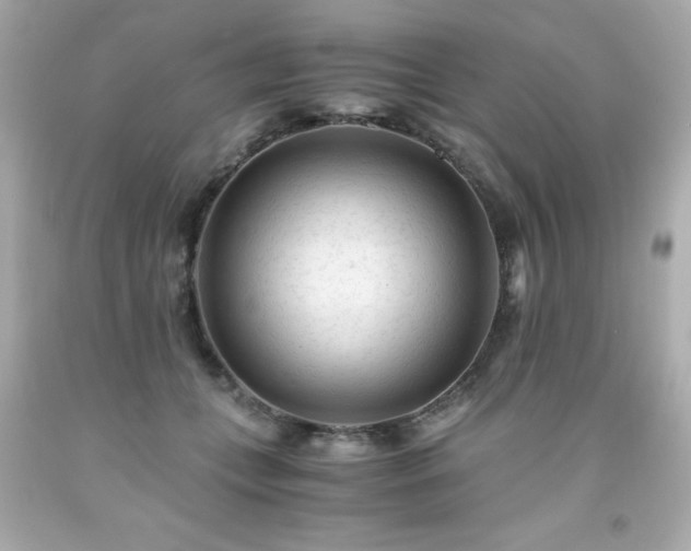 X0000091920559200709121540
