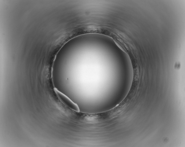 X0000091920560200709121541