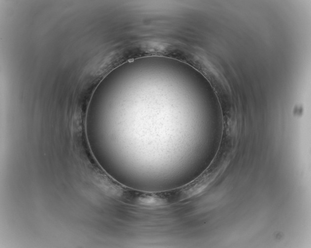 X0000091920561200709121541