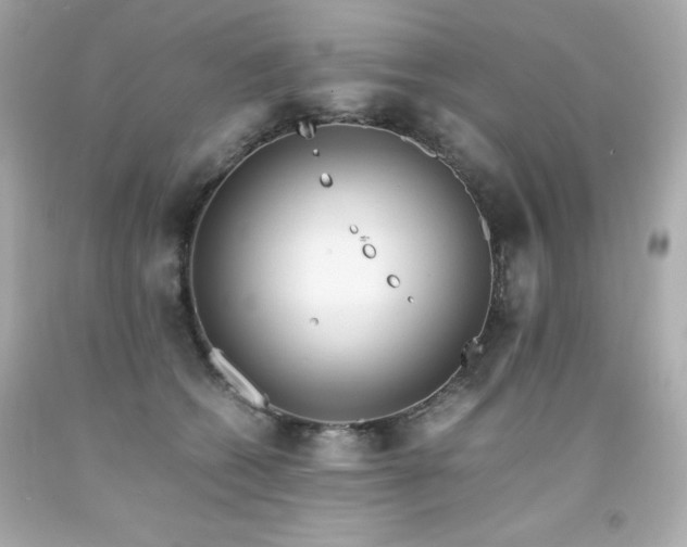 X0000091920562200709121541