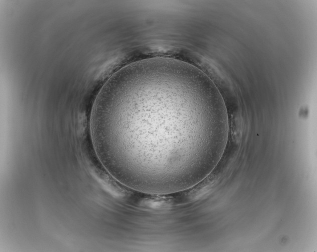 X0000091920563200709121541