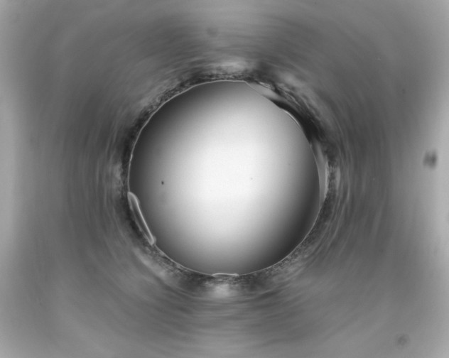X0000091920564200709121541
