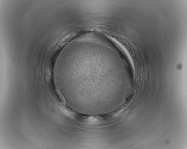X0000091920566200709121541