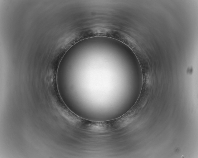 X0000091920567200709121541