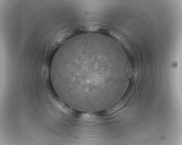 X0000091920568200709121541