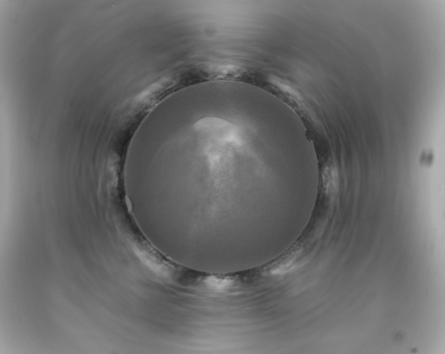 X0000091920570200709121541