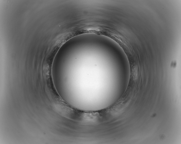 X0000091920571200709121541