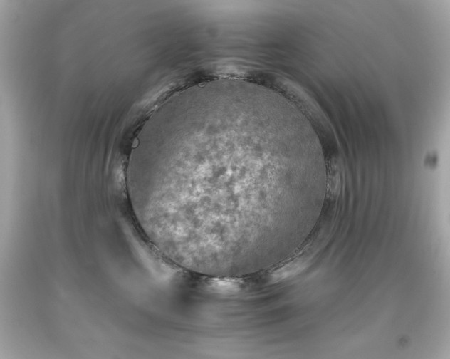 X0000091920573200709121541