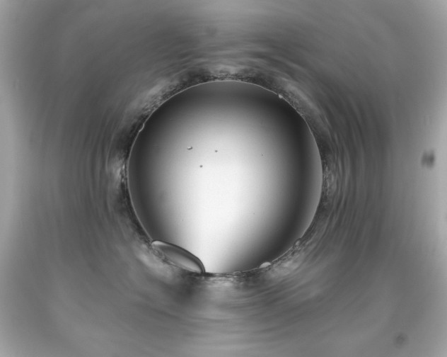 X0000091920574200709121541