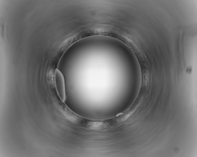 X0000091920575200709121541