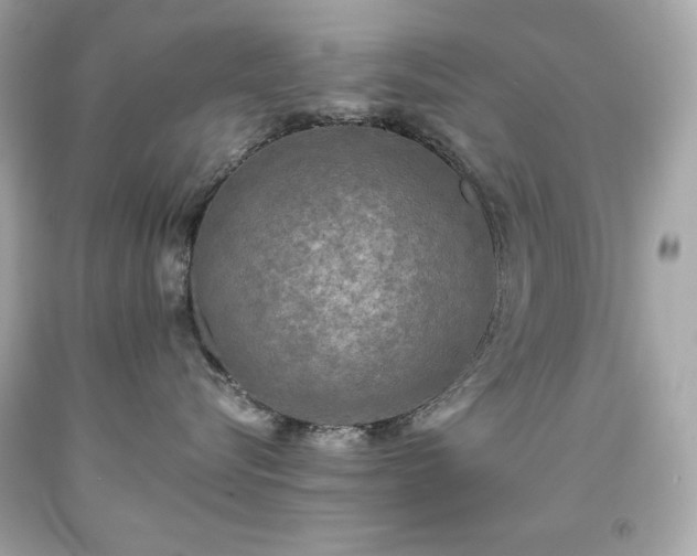 X0000091920576200709121541