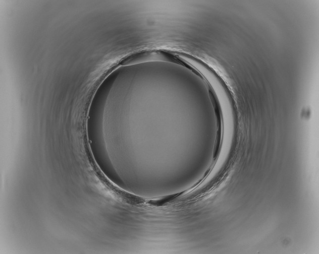 X0000091920577200709121540