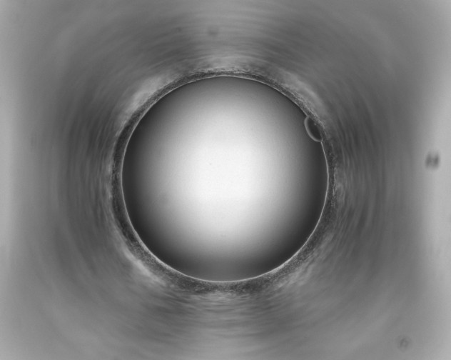 X0000091920578200709121540