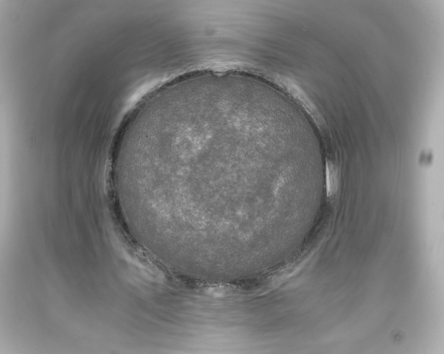 X0000091920579200709121540