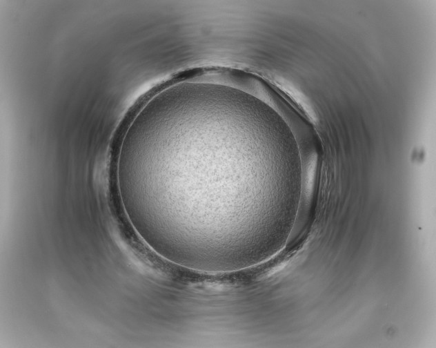 X0000091920580200709121540
