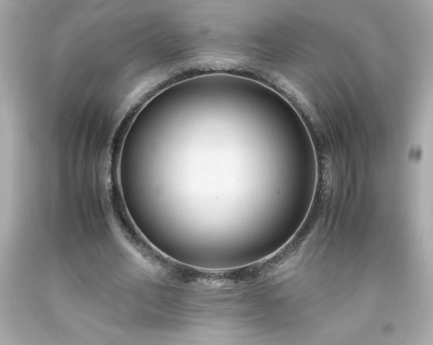 X0000091920582200709121540