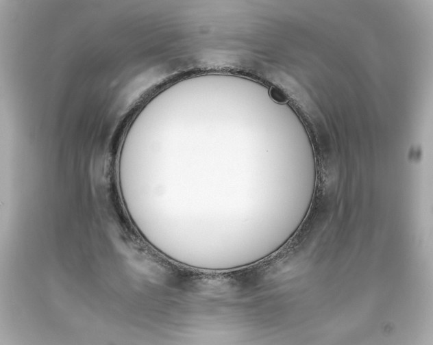 X0000091920583200709121540