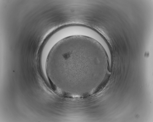 X0000091920584200709121540