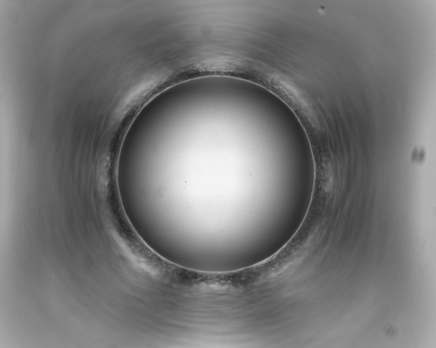 X0000091920586200709121540