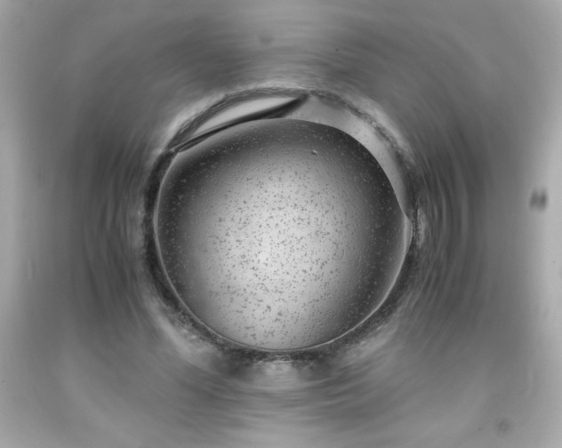 X0000091920588200709121540