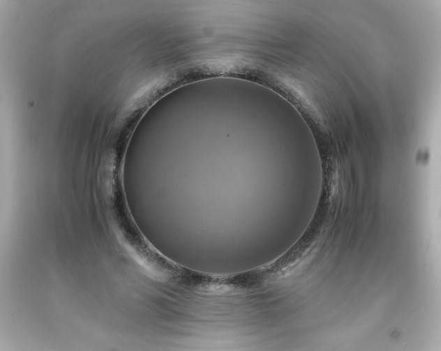 X0000091920590200709121540