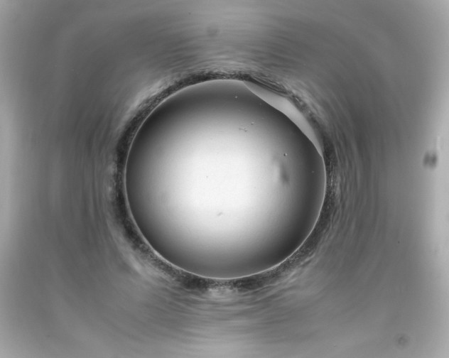 X0000091920591200709121540