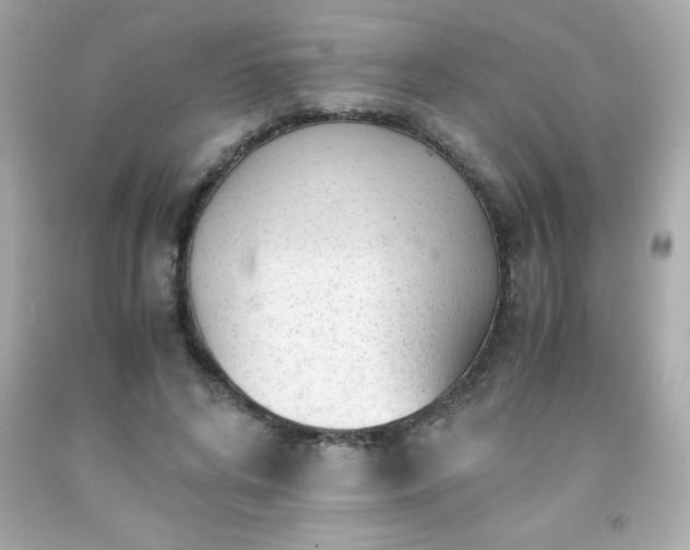 X0000091920592200709121540