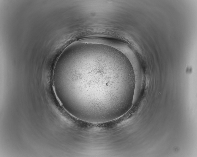 X0000091920593200709121540