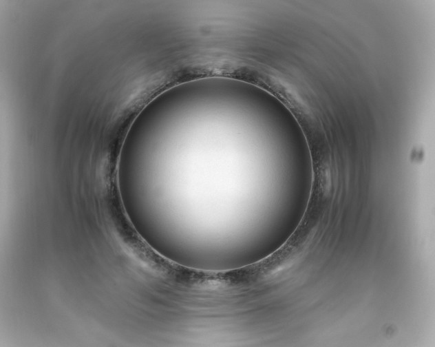 X0000091920594200709121540