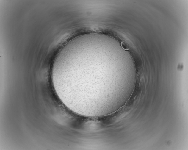 X0000091920595200709121540