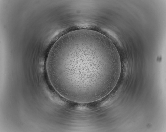 X0000091920596200709121540