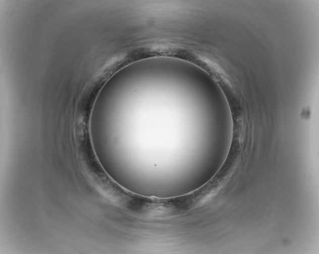 X0000091920597200709121540