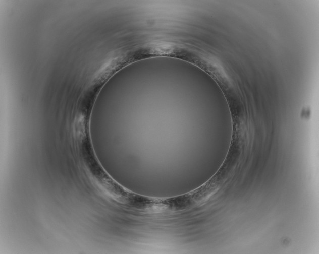X0000091920598200709121540