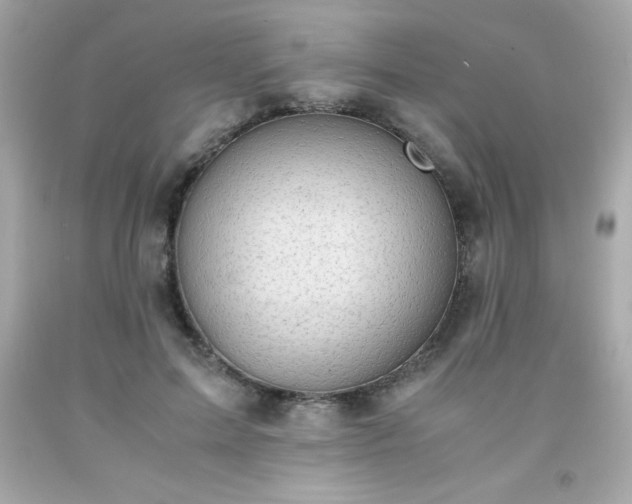 X0000091920599200709121540