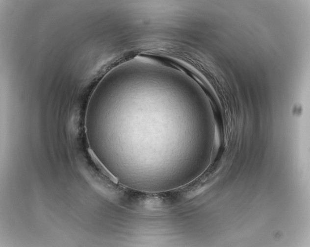 X0000091920600200709121540