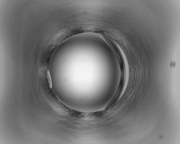 X0000091920601200709121540