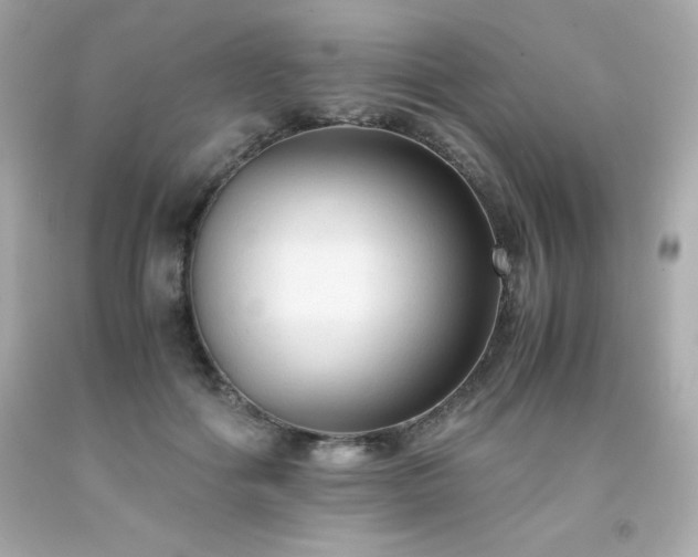X0000091920602200709121540