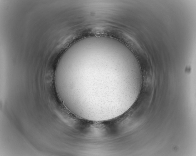 X0000091920603200709121540
