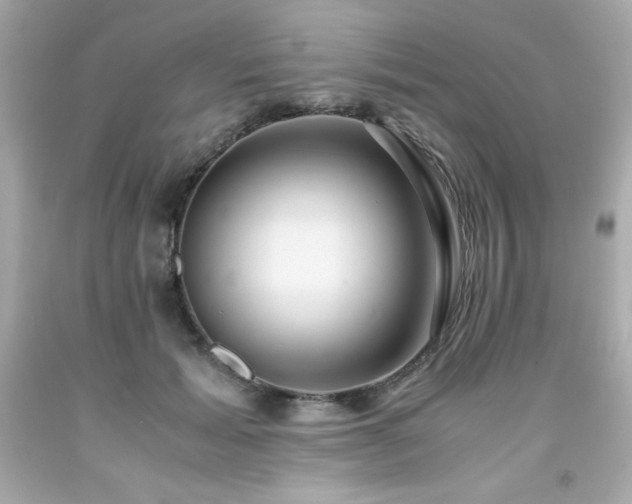 X0000091920605200709121540